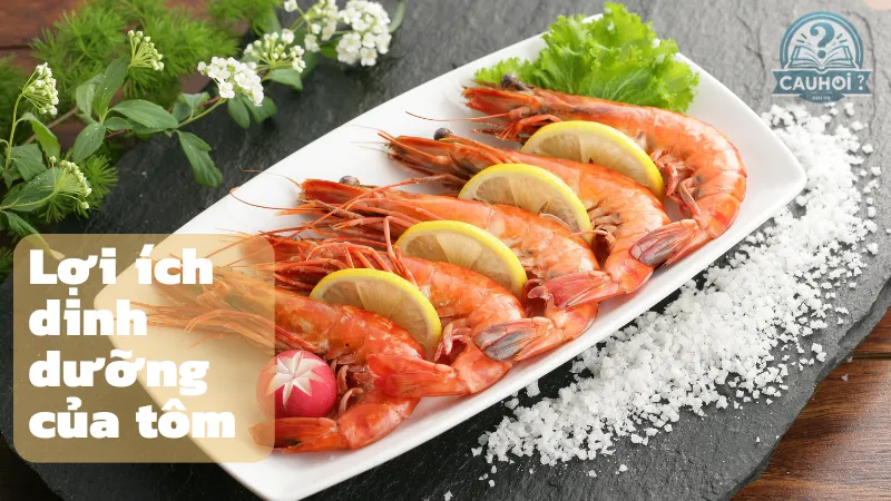 Lợi ích dinh dưỡng của tôm Lợi ích dinh dưỡng của tôm