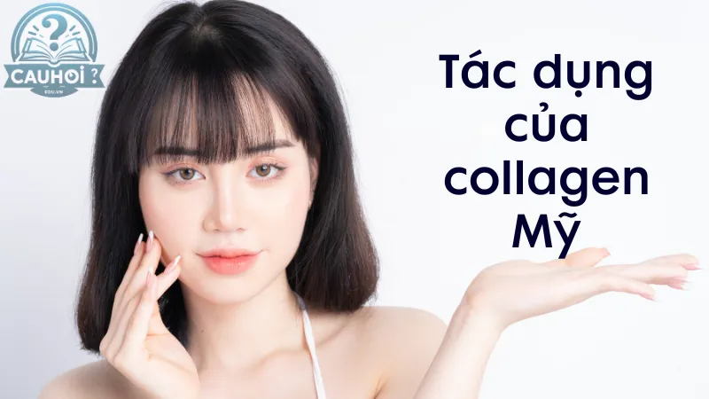Tác dụng của collagen Mỹ Tác dụng của collagen Mỹ
