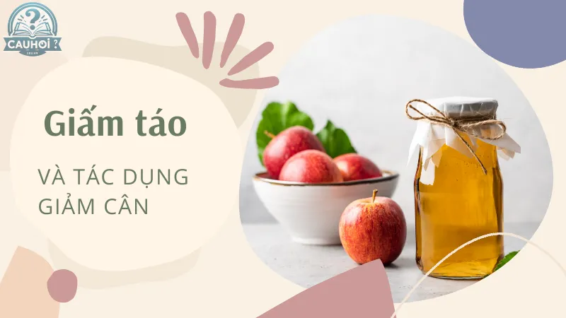 Giấm táo và tác dụng giảm cân Giấm táo và tác dụng giảm cân