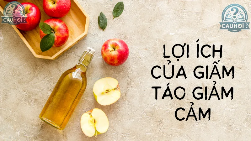 Lợi ích của giấm táo giảm cảm Lợi ích của giấm táo giảm cảm
