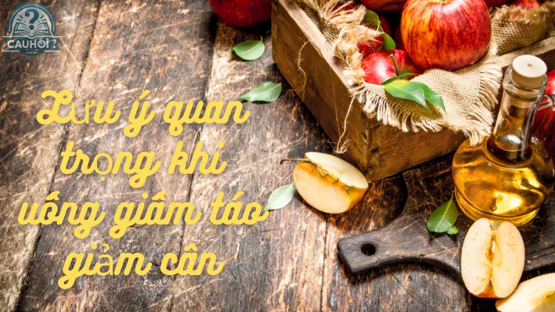 Lưu ý quan trọng khi uống giấm táo giảm cân Lưu ý quan trọng khi uống giấm táo giảm cân