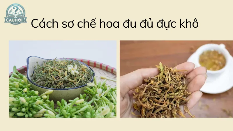 Cách sơ chế hoa đu đủ đực khô Cách sơ chế hoa đu đủ đực khô