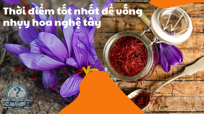 Thời điểm tốt nhất để uống nhụy hoa nghệ tây Thời điểm tốt nhất để uống nhụy hoa nghệ tây