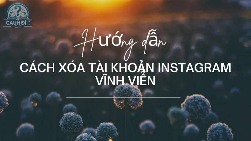 Hướng dẫn cách xóa tài khoản Instagram vĩnh viễn Hướng dẫn cách xóa tài khoản Instagram vĩnh viễn