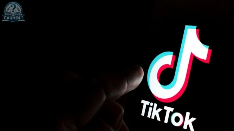 Hướng dẫn chi tiết tải video tiktok bằng snaptik không dính watermark Hướng dẫn chi tiết tải video tiktok bằng snaptik không dính watermark