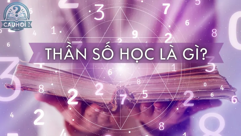 Thần số học là gì? Thần số học là gì?