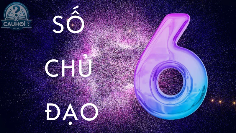 Số 6 - Người Cân Bằng Số 6 - Người Cân Bằng