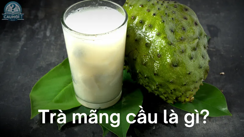 Trà mãng cầu là gì? Trà mãng cầu là gì?