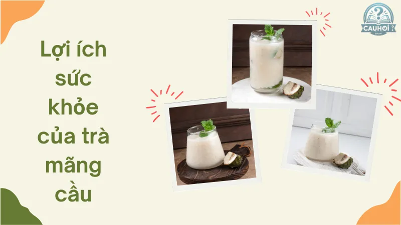 Lợi ích sức khỏe của trà mãng cầu Lợi ích sức khỏe của trà mãng cầu