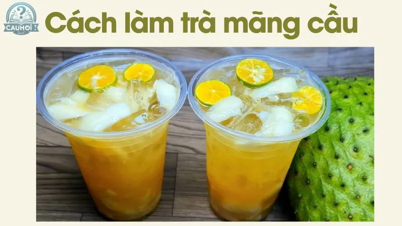 Trà mãng cầu cách làm đúng cách Trà mãng cầu cách làm đúng cách