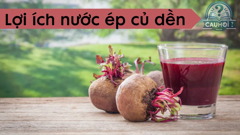 Lợi ích của nước ép củ dền Lợi ích của nước ép củ dền