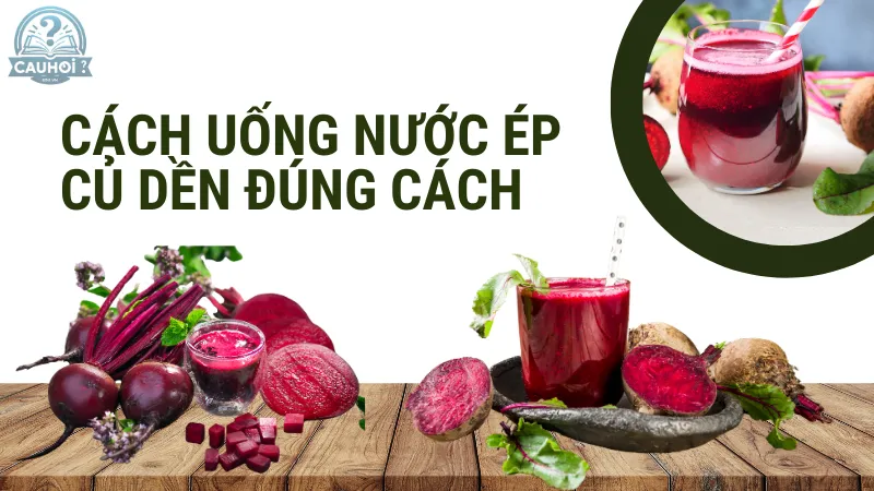 Cách uống nước ép củ dền đúng cách Cách uống nước ép củ dền đúng cách