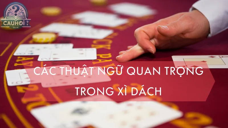 Các thuật ngữ quan trọng trong Xì Dách Các thuật ngữ quan trọng trong Xì Dách