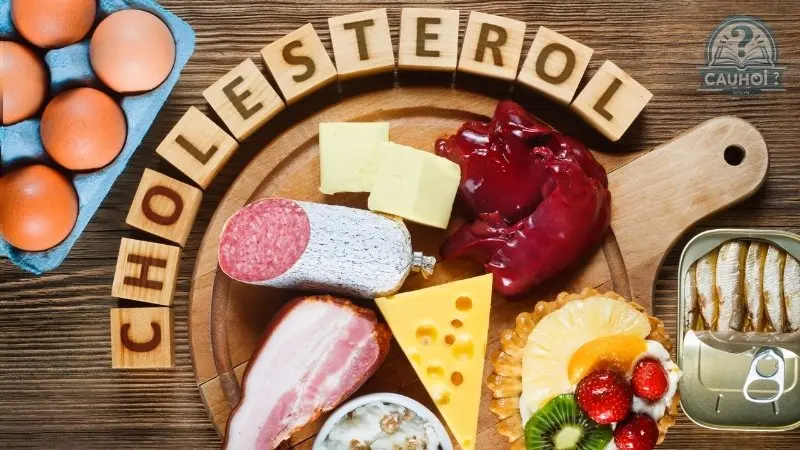 Cholesterol là gì 03