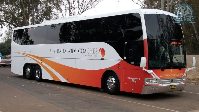 Coach là xe gì 03