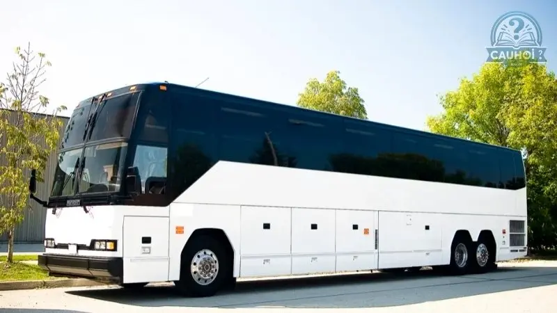 Coach là xe gì 04