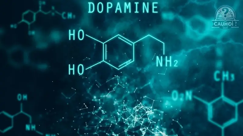 Dopamine là gì 04
