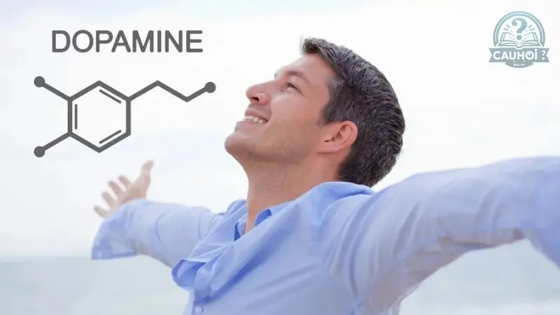 Dopamine là gì 03