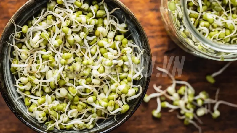 Lợi ích của giá đỗ 1