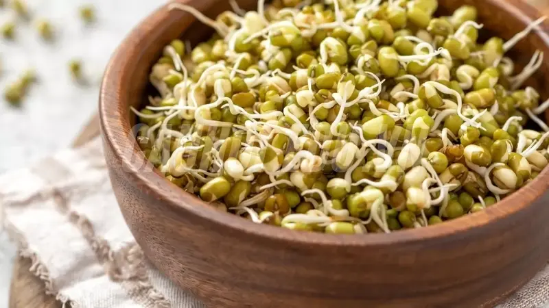 Những lưu ý khi sử dụng giá đỗ 1