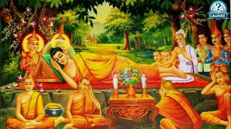 Chứng ngộ của năm vị đạo sĩ Chứng ngộ của năm vị đạo sĩ