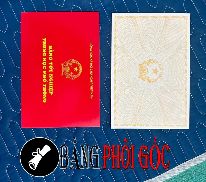 Dịch Vụ Tiện Lợi Và Nhanh Chóng Dịch Vụ Tiện Lợi Và Nhanh Chóng