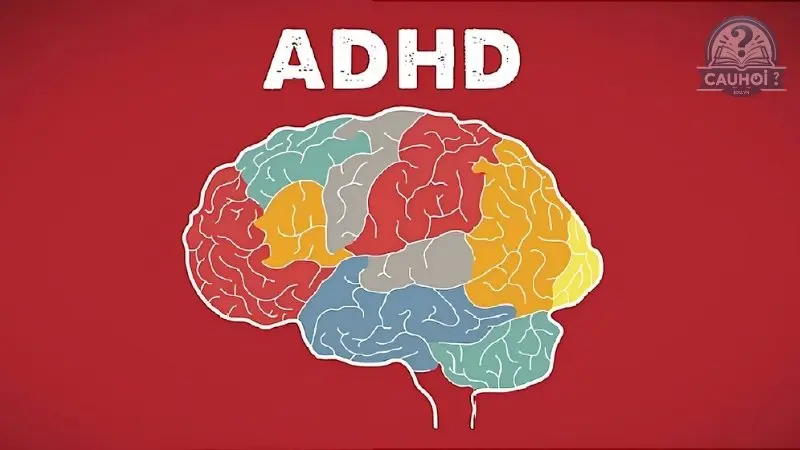 Adhd là gì 03