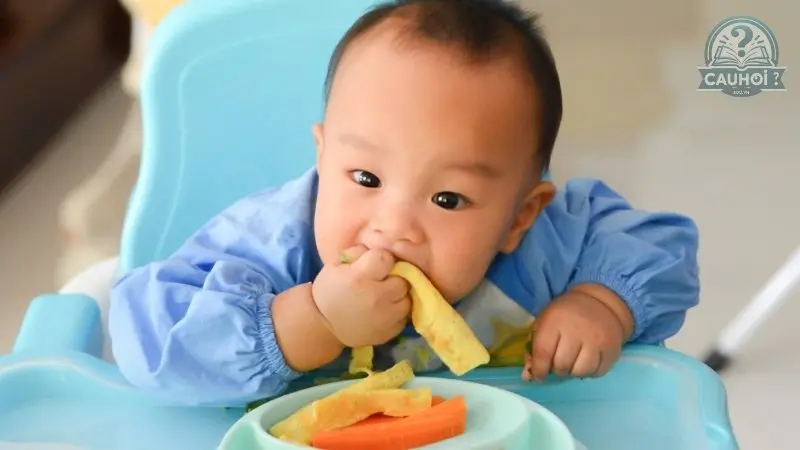 Ăn dặm blw là gì 03