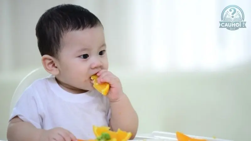 Ăn dặm kiểu nhật là gì 02