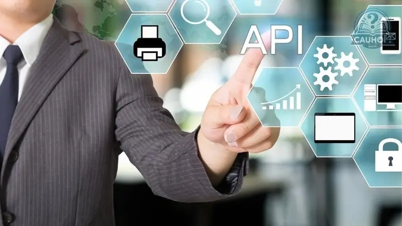 Api là gì 02