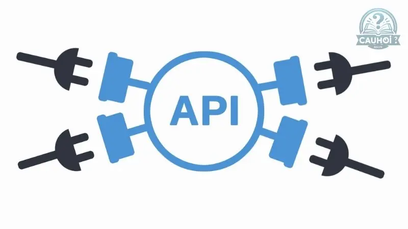 Api là gì 03