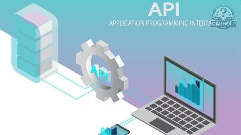 Api là gì 04