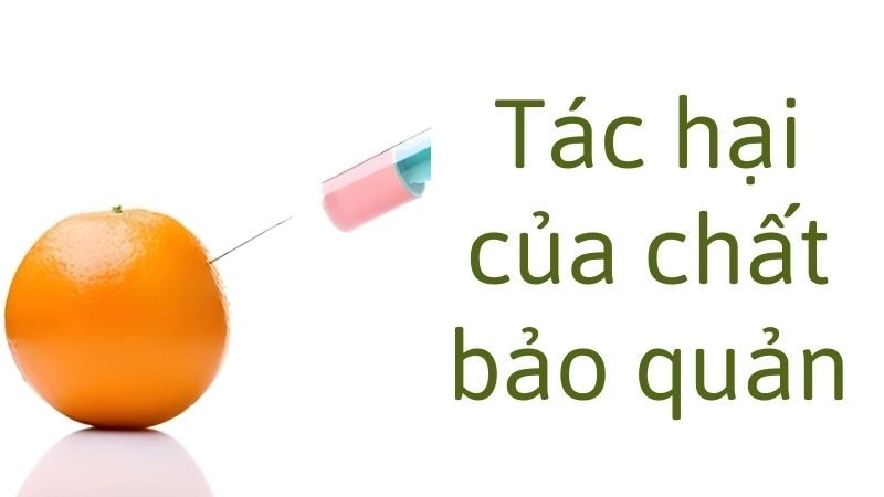 Những rủi ro nghiêm trọng khi tích tụ hóa chất