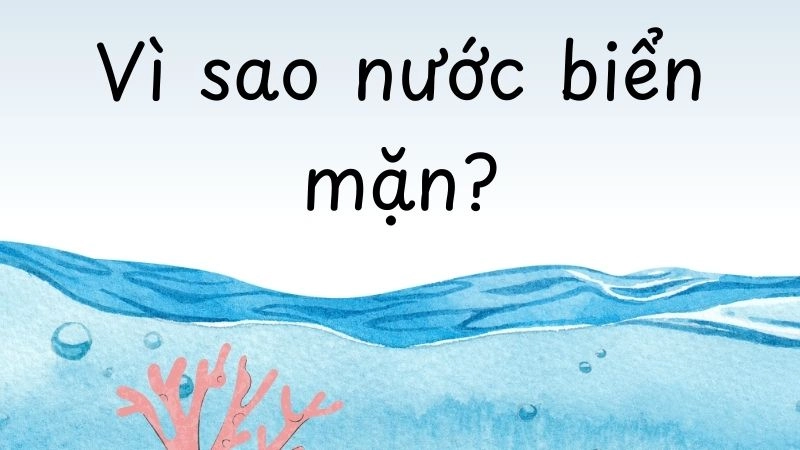 Nguồn gốc từ những cơn mưa và sự bào mòn đá